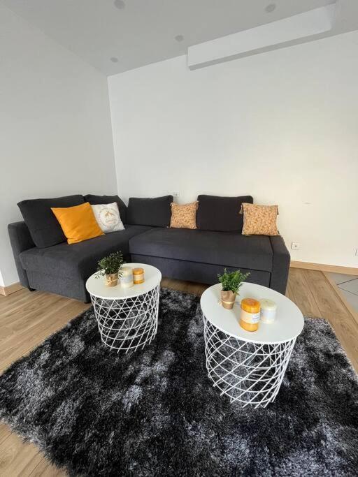 Superbe Appartement Moderne En Rez-De-Chaussee Ozoir-la-Ferrière Εξωτερικό φωτογραφία