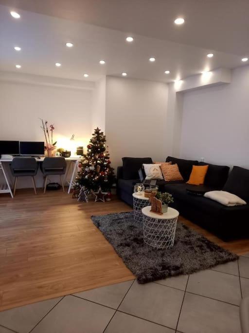 Superbe Appartement Moderne En Rez-De-Chaussee Ozoir-la-Ferrière Εξωτερικό φωτογραφία